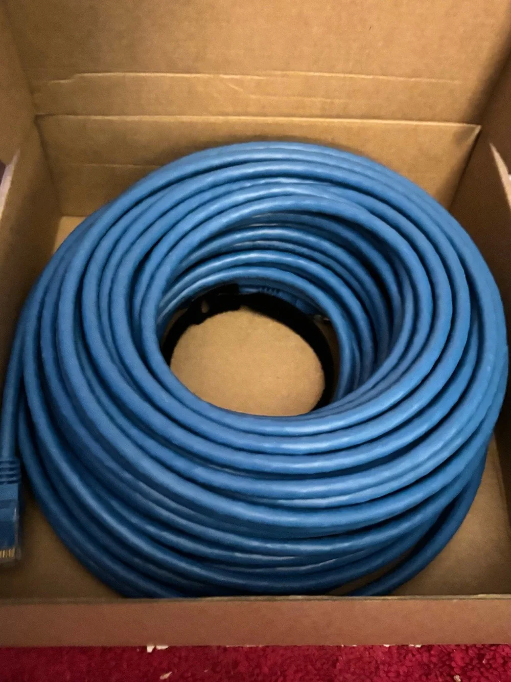 100 ft. Blue Ethernet Cable - Long Coiled Network Cord